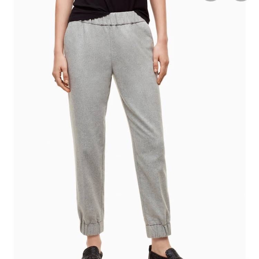 Aritzia Wilfred Turquet Pants
